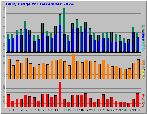Daily usage for December 2024 Daily usage for December 2024