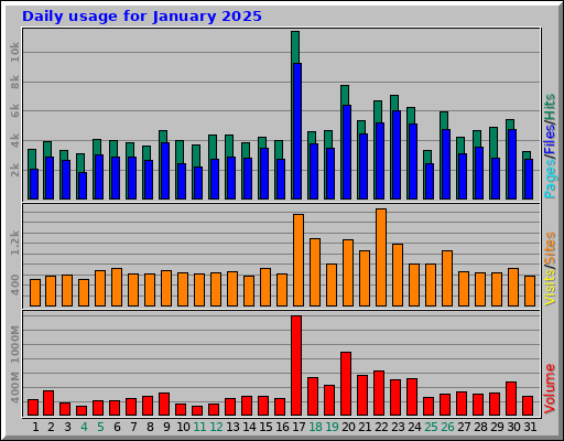 Daily usage for January 2025 Daily usage for January 2025