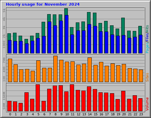 Hourly usage for November 2024
