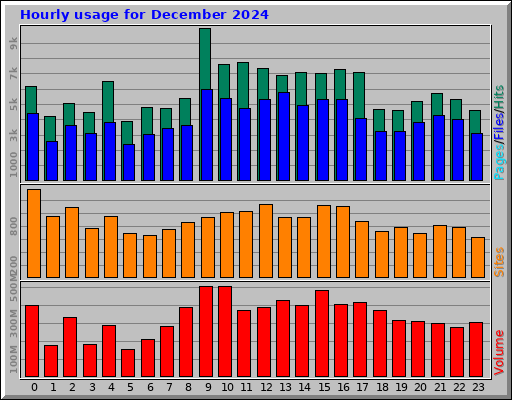 Hourly usage for December 2024 Hourly usage for December 2024