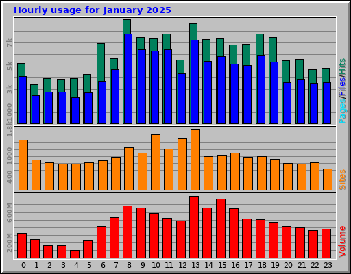 Hourly usage for January 2025 Hourly usage for January 2025