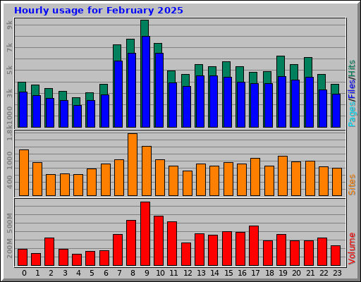 Hourly usage for February 2025 Hourly usage for February 2025