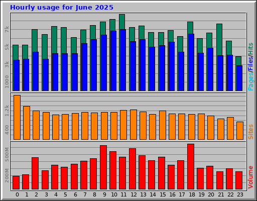Hourly usage for June 2025