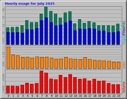 Hourly usage for July 2025 Hourly usage for July 2025